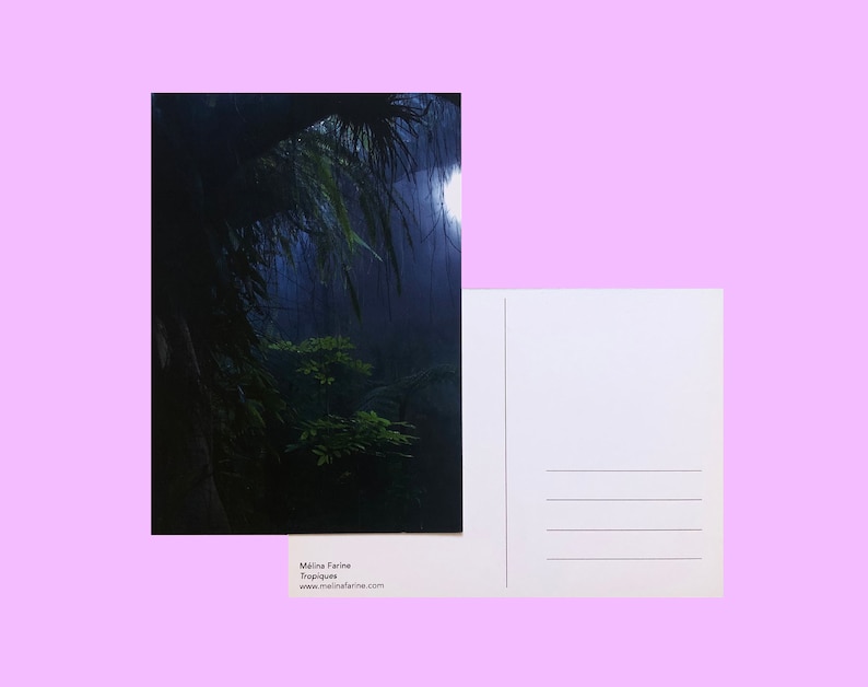Postcard Tropiques A6 print