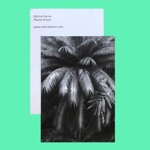 Risographie Palmier / postcard A6