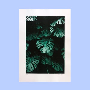 Monstera Risography / Poster A3 / signed and numbered
