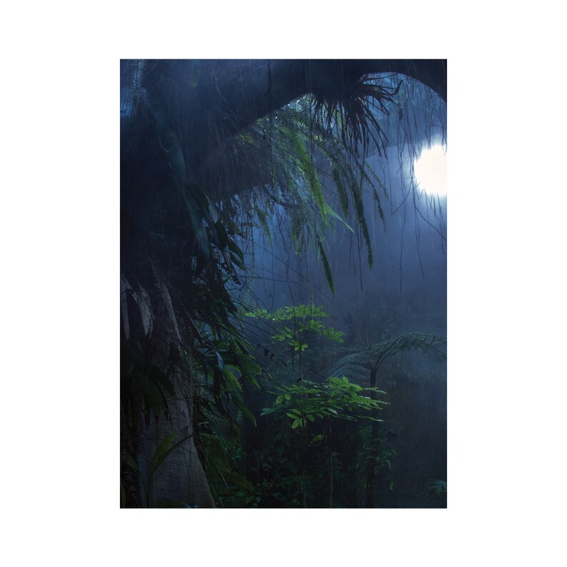 Postcard Tropiques A6 print