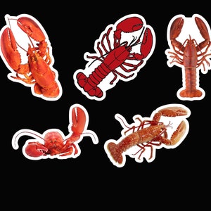 Lobster sticker pack laminated vinyl waterproof stickers
