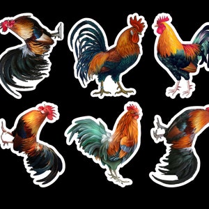 Rooster sticker pack laminated vinyl waterproof stickers