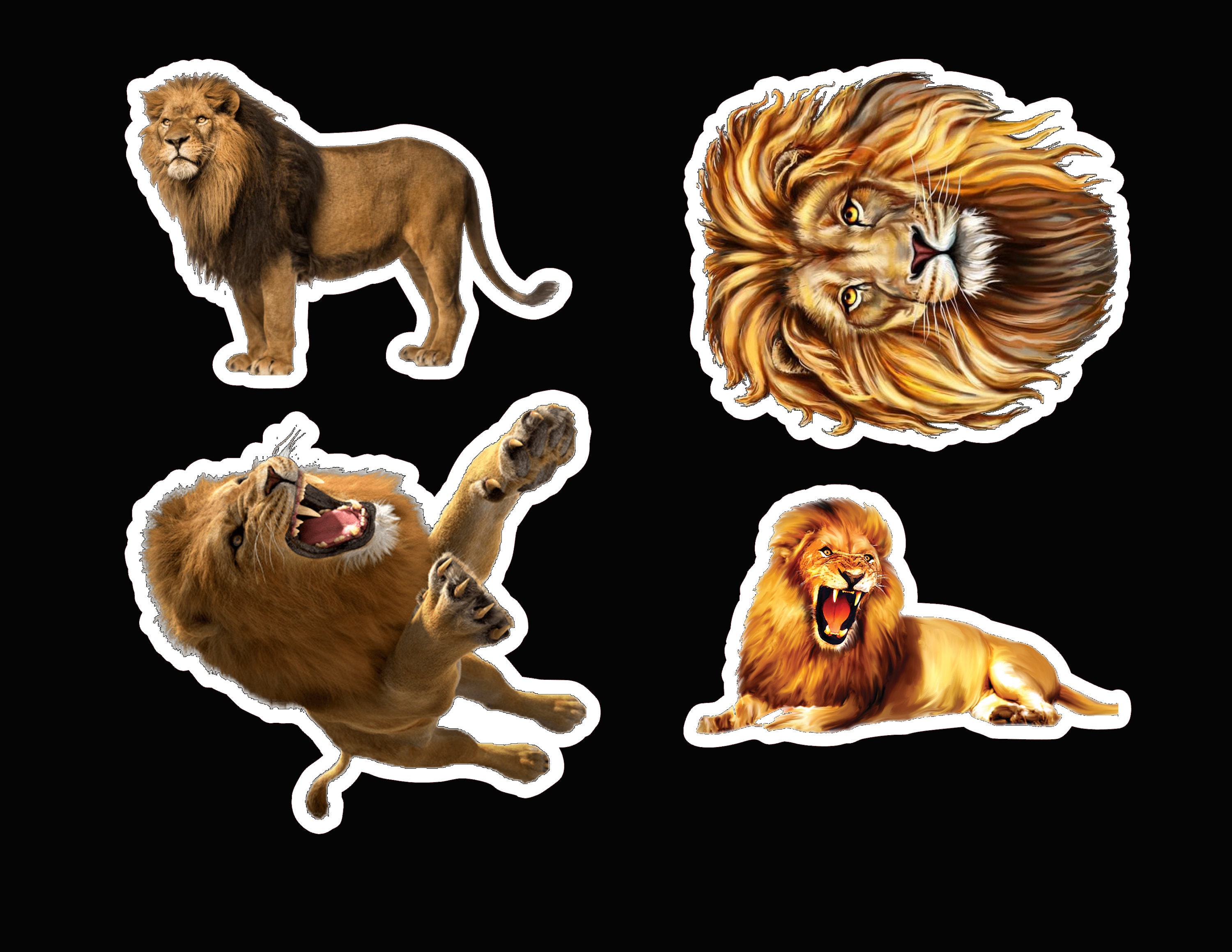Lion Sticker Pack Laminated Vinyl Waterproof Stickers - Etsy