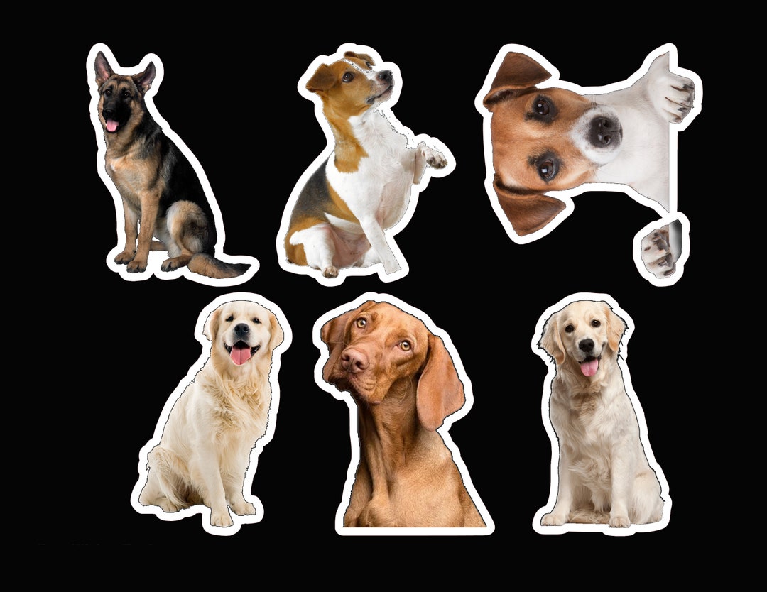 Dogs Sticker Pack Laminated Vinyl Waterproof Stickers Etsy