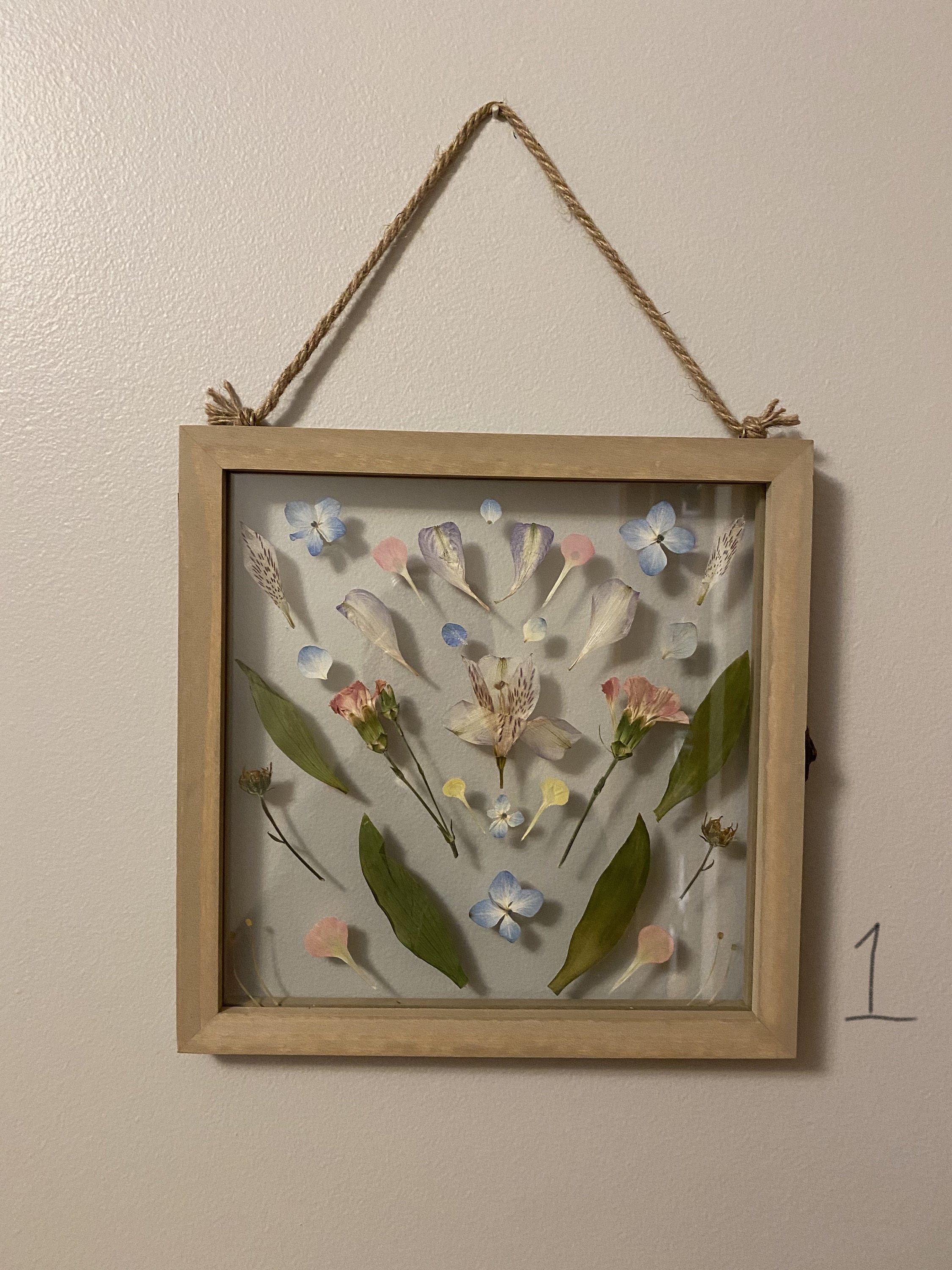 Framed Pressed Flowers 12x12 pressed flowers Etsy