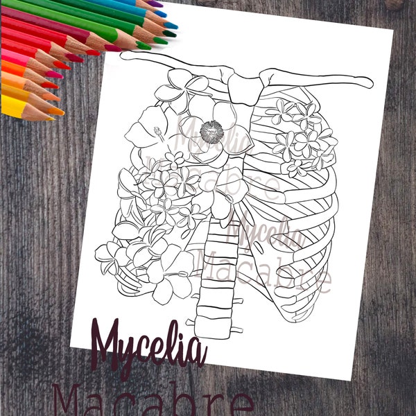 Human rib cage coloring page /anatomical coloring page/ printable diy wall art / anatomical art