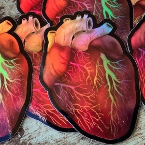 Holographic Anatomical heart sticker/ rainbow heart