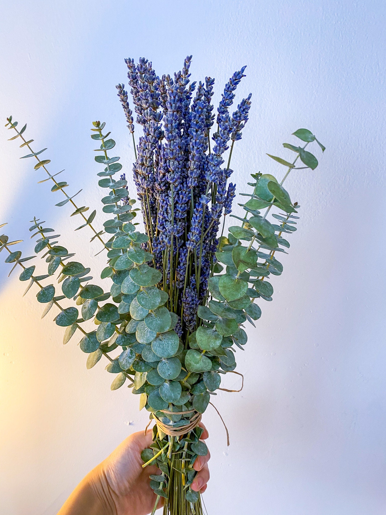 Eucalyptus Bundle with Lavender Aromatherapy Eucalyptus Etsy