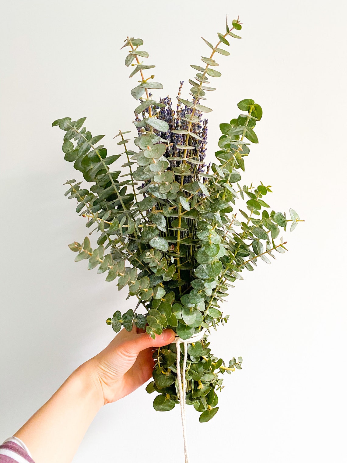 Eucalyptus Bundle with Lavender Aromatherapy Eucalyptus Etsy
