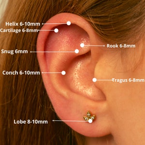 May include: Diagram of an ear with different piercing locations labeled with names and suggested sizes in millimeters. The locations include helix, cartilage, snug, rook, conch, tragus, and lobe.