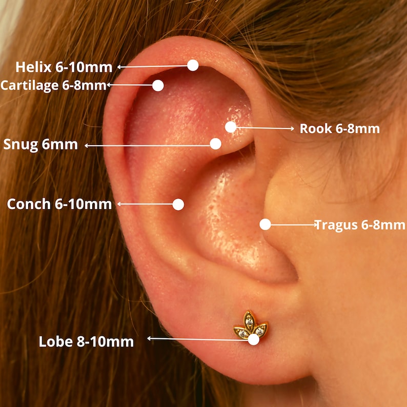 May include: Diagram of an ear with different piercing locations labeled with names and suggested sizes in millimeters. The locations include helix, cartilage, snug, rook, conch, tragus, and lobe.