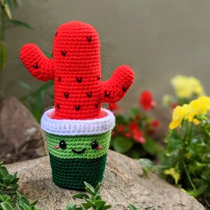 PATTERN: Watermelon Cactus Crochet PDF ONLY Amigurumi cactus crochet pattern Crochet fruit intermediate pattern image 4