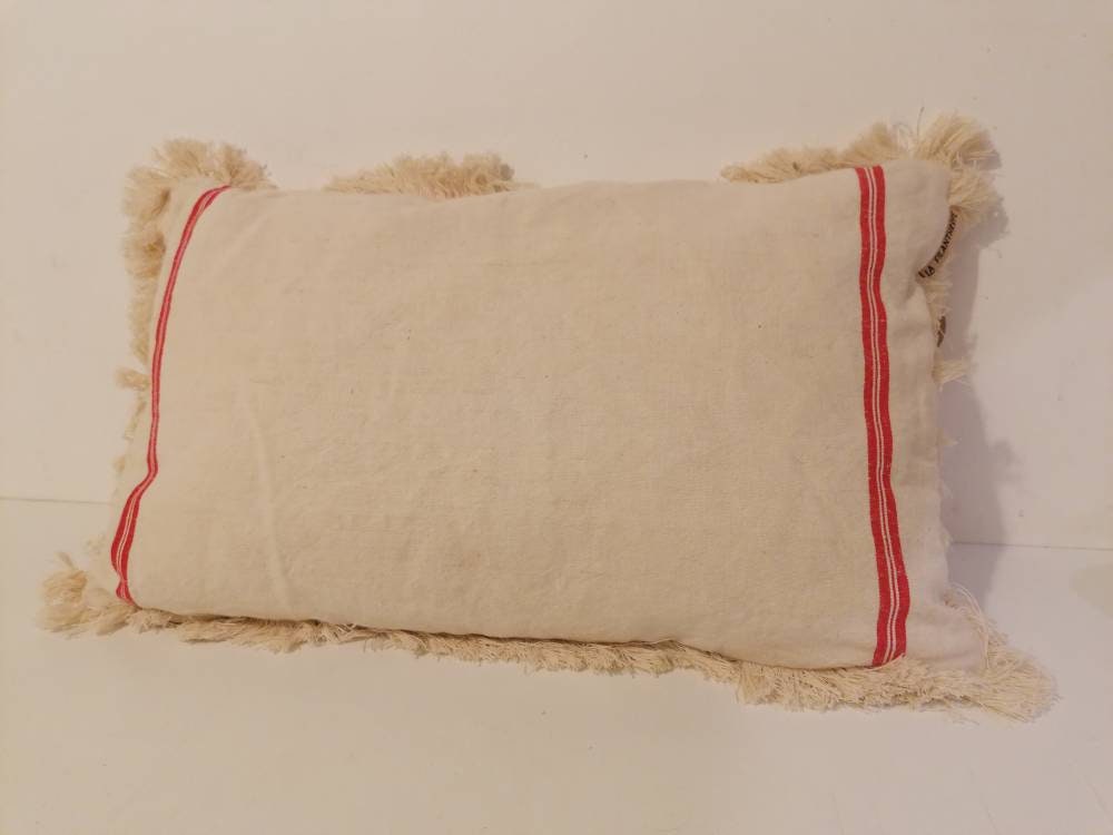 Upcycling Coussin Upcyclé Déhoussable.