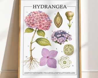 Pink Hydrangea Print: Grandmillenial Art, Exhibition Poster