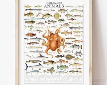 Vintage Fishing Poster | Mediterranean Kitchen Wall Art (Digital Download)
