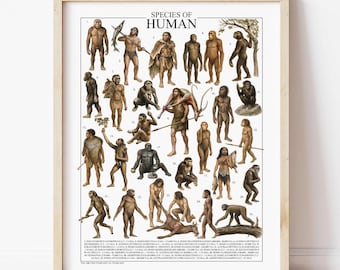 Human Evolution Art | Anthropology Paleoart (Digital Download)