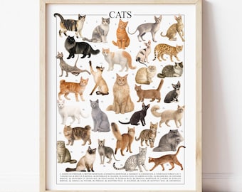 Cat Breeds Poster: Veterinarian Gift Knowledge Poster (Digital Download)
