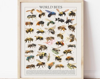 Save the Bees Wall Art – Vintage Poster Beekeeper Gift