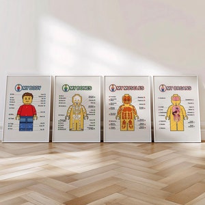 Anatomie 4 Poster Set für Kinderarzt Dekor und Vorschule lernen