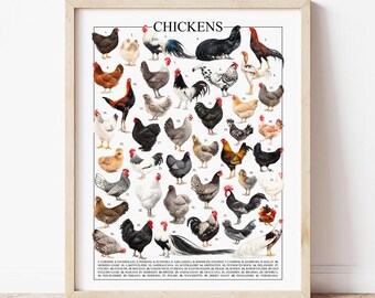 40 Chicken Breed Art  – Farmhouse Decor & Veterinarian Gift (Digital Poster)