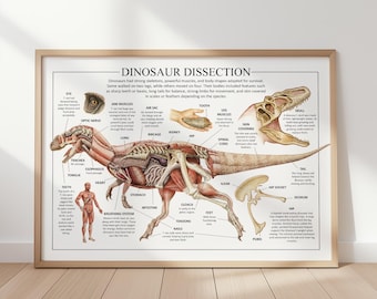 T Rex Anatomy Poster | Dinosaur Sceleton & Scull Biology Poster (Digital Download)