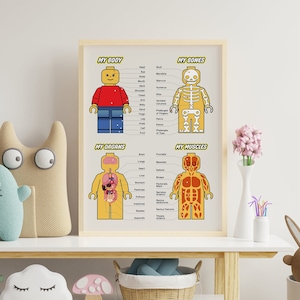 Poster di anatomia educativa per l'istruzione parentale e l'apprendimento in classe