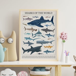 Póster artístico de tiburón oceánico para la educación en casa y en el aula
