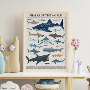 Sharks Educational Posters Ocean Art: Explore 20 Fascinating Sharks of the World- Perfect for Montessori, Homeschool, & Classroom Learning!