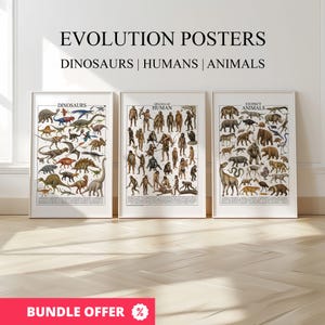 Peut inclure: Trois affiches encadrées avec le texte "EVOLUTION POSTERS" et les sous-titres "DINOSAURS | HUMANS | ANIMALS". Les affiches représentent des illustrations de dinosaures, l'évolution humaine et des animaux disparus. Une bannière rouge en bas indique "BUNDLE OFFER %."