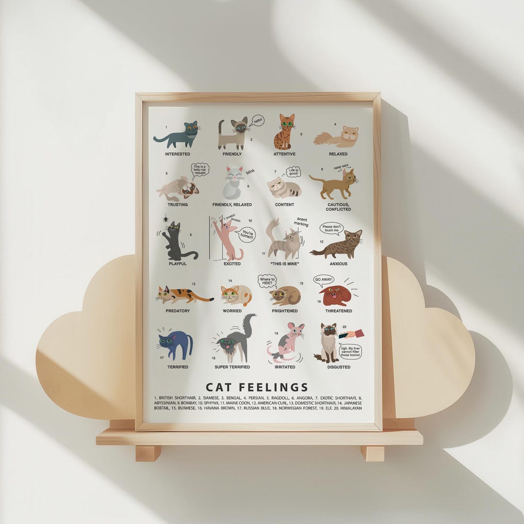 Cute Cat Emotes Wall Art | Cat Breeds & Body Language Poster - Etsy