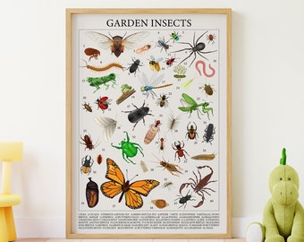 44 Fascinating Insect Bug Posters: Montessori Classroom Homeschool Biology Art