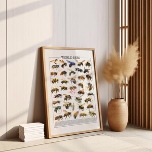 May include: A framed print titled "WORLD BEES" showcases illustrations of different bee species. The artwork has a light wood frame and leans against a white wall. A stack of white cards is in front of the print, and a vase with dried plants is to the right.