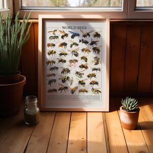 May include: A framed print titled "WORLD BEES" shows illustrations of different bee species. The print is in a light wood frame, on a wooden surface. A potted plant and a small succulent in a terracotta pot are also visible.