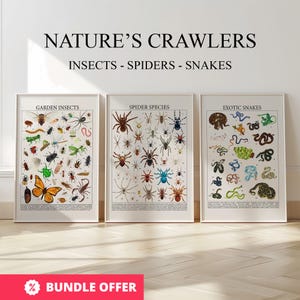 Könnte beinhalten: Drei gerahmte Kunstdrucke mit Insekten, Spinnen und Schlangen. Die Drucke tragen die Titel "Garteninsekten", "Spinnenarten" und "Exotische Schlangen". Der Text oben lautet "NATURE'S CRAWLERS INSECTS - SPIDERS - SNAKES". Ein rotes Banner unten zeigt "BUNDLE OFFER."