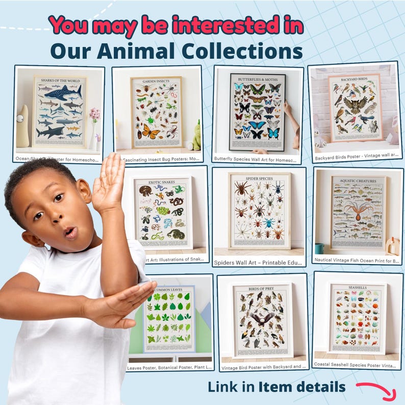 May include: A collection of framed educational posters with animal themes. The posters depict sharks, insects, butterflies, birds, snakes, spiders, aquatic creatures, leaves, birds of prey, and seashells. The image includes the text "You may be interested in Our Animal Collections."