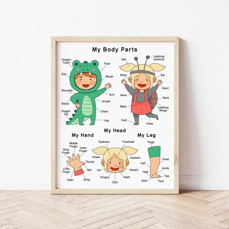 Human Body Parts Poster – Occupational Therapy, Toddler Vocabulary ...