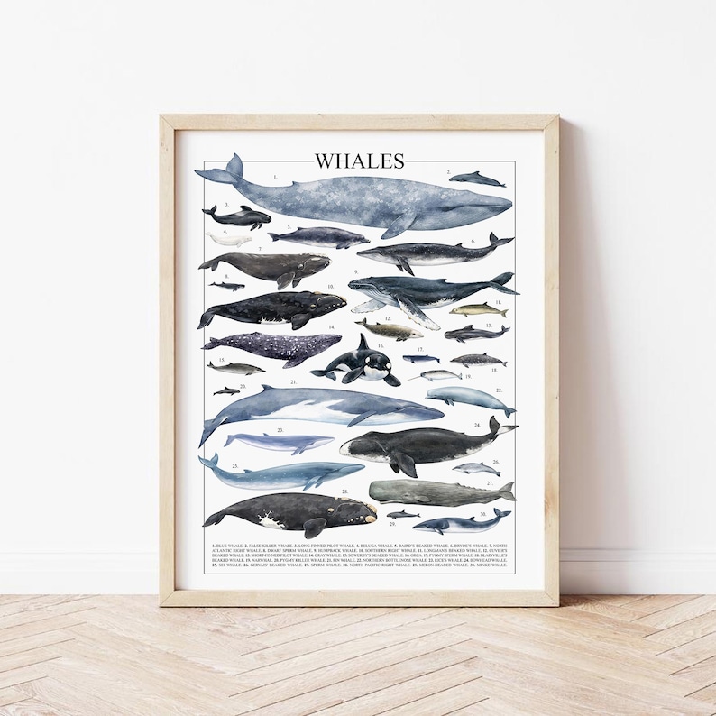 Quadro de parede com baleias – Pôster náutico com tema oceano imagem 1