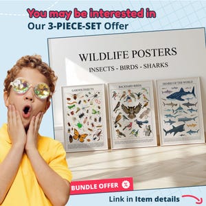 May include: Three framed wildlife posters. The posters display insects, birds, and sharks. The text on the posters reads "WILDLIFE POSTERS" and "INSECTS - BIRDS - SHARKS". The posters are labeled "GARDEN INSECTS", "BACKYARD BIRDS", and "SHARKS OF THE WORLD".