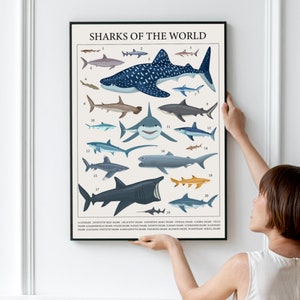 A woman hanging the shark poster frame on a wall.