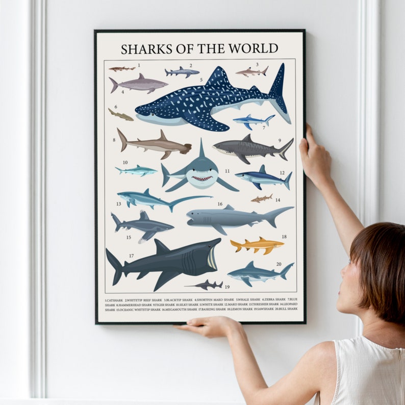 A woman hanging the shark poster frame on a wall.