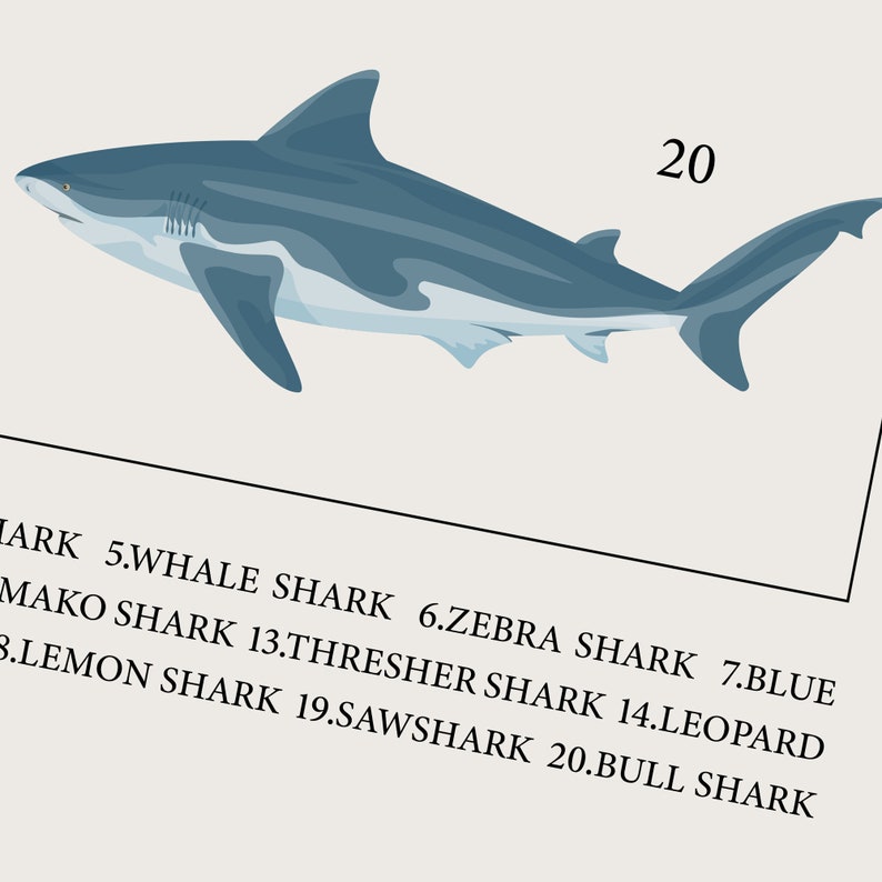 A close up photo of the descriptions on the poster, emphasizing the image details.