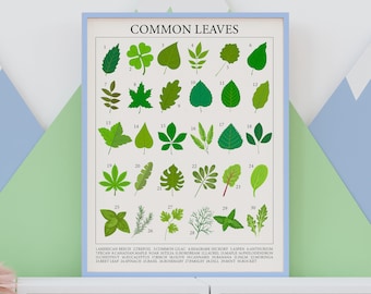 Botanical Leaf Poster: Educational Montessori Classroom Art (Digital Download)