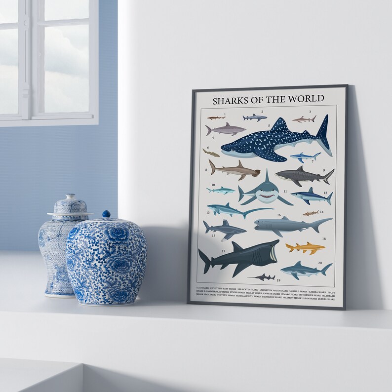 A shark poster depicting 20 species of most common sharks of the world. The poster is leaning against a wall.