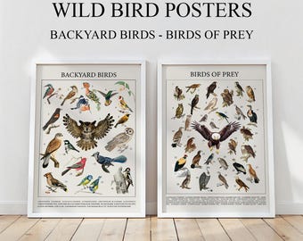 May include: Two framed posters with white borders. The top text reads "WILD BIRD POSTERS" and "BACKYARD BIRDS - BIRDS OF PREY". The left poster is labeled "BACKYARD BIRDS" and the right poster is labeled "BIRDS OF PREY". The bottom text reads "BUNDLE OFFER".