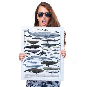 Quadro de parede com baleias – Pôster náutico com tema oceano imagem 3