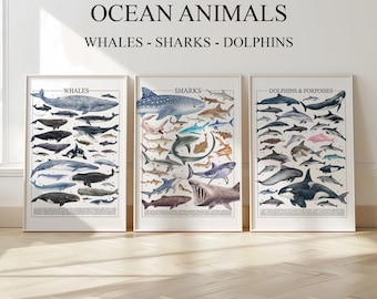 Under the Sea Creatures: Set of 3 Prints Ocean Wall Art