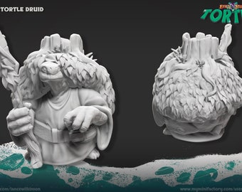 TORTLE DRUID - dungeon e draghi D&D RPG Mini mini 32mm 28mm