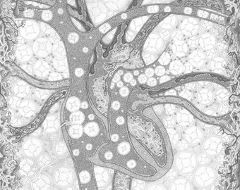 May include: A black and white pencil drawing of a complex, organic shape with a network of lines and circles. The shape resembles a tree or a plant with a central trunk and branches. The background is filled with a pattern of small circles and stars.