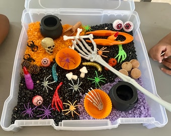 Halloween Theme Sensory Bin