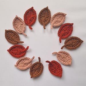 May include: A collection of eleven crocheted leaf appliqués arranged in a circular pattern. The leaves are crafted in various shades of autumn colours, including deep red, burnt orange, dark brown, and light beige, each featuring a central vein detail.